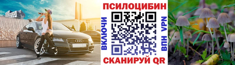купить   Гдов  Псилоцибиновые грибы ЛСД 